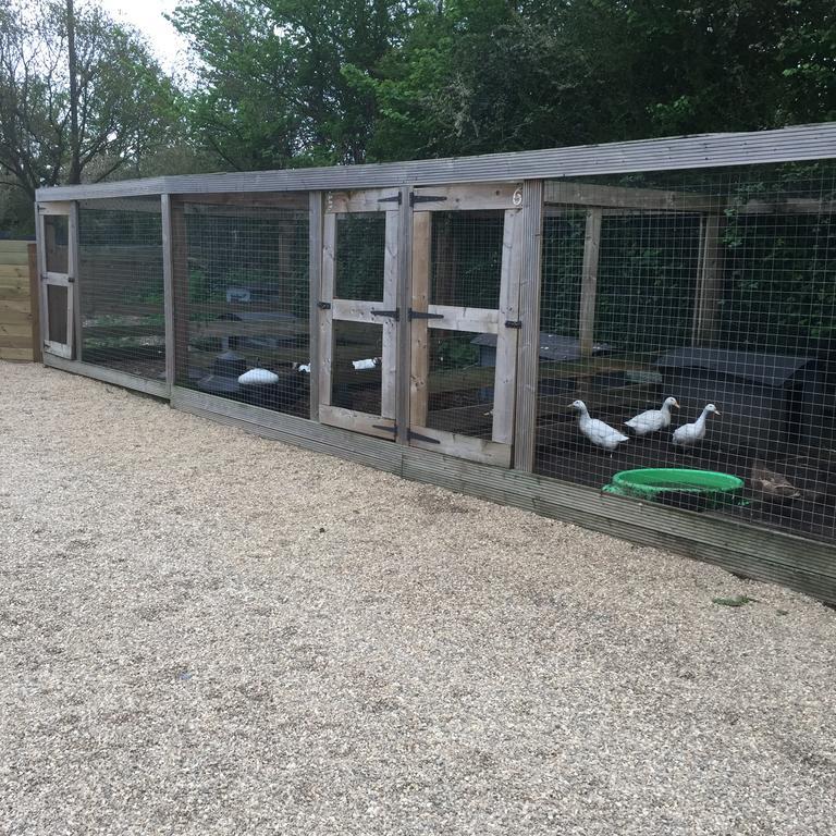 Willow Court Farm The Lodge & Petting Farm, 8 Mins From Legoland & Windsor, 15 Mins From Lapland Uk Esterno foto