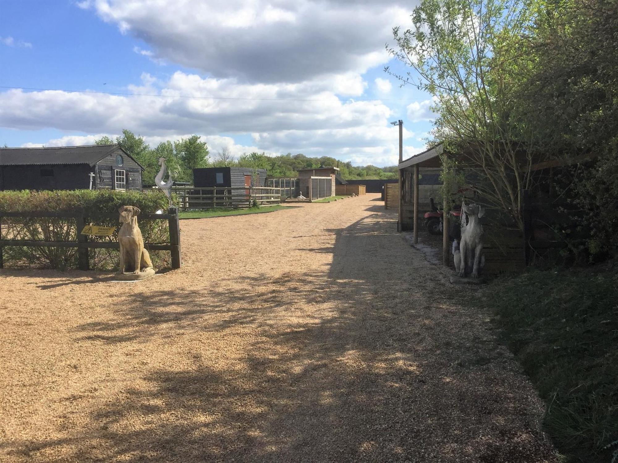Willow Court Farm The Lodge & Petting Farm, 8 Mins From Legoland & Windsor, 15 Mins From Lapland Uk Esterno foto