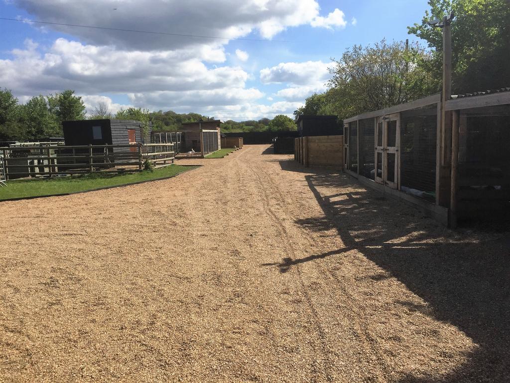 Willow Court Farm The Lodge & Petting Farm, 8 Mins From Legoland & Windsor, 15 Mins From Lapland Uk Esterno foto