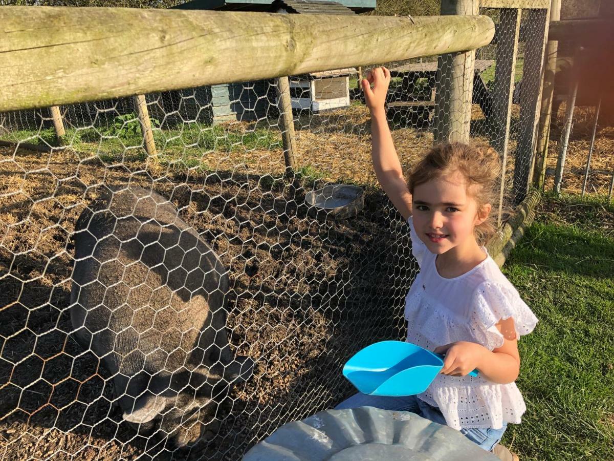 Willow Court Farm The Lodge & Petting Farm, 8 Mins From Legoland & Windsor, 15 Mins From Lapland Uk Esterno foto