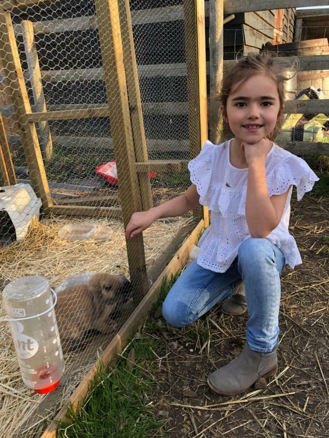 Willow Court Farm The Lodge & Petting Farm, 8 Mins From Legoland & Windsor, 15 Mins From Lapland Uk Esterno foto