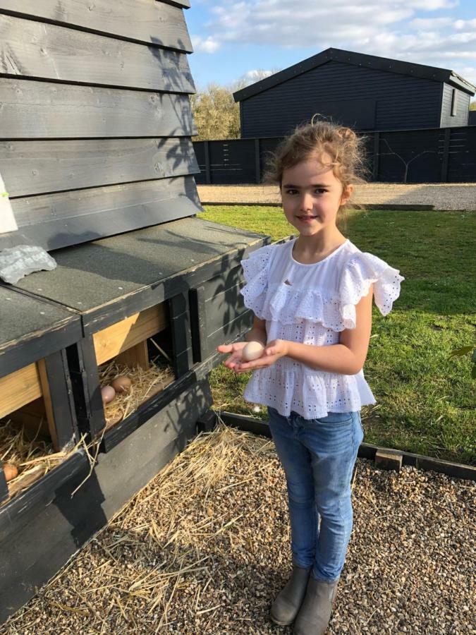 Willow Court Farm The Lodge & Petting Farm, 8 Mins From Legoland & Windsor, 15 Mins From Lapland Uk Esterno foto