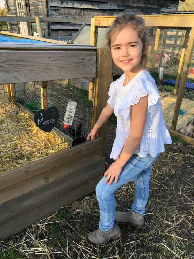 Willow Court Farm The Lodge & Petting Farm, 8 Mins From Legoland & Windsor, 15 Mins From Lapland Uk Esterno foto