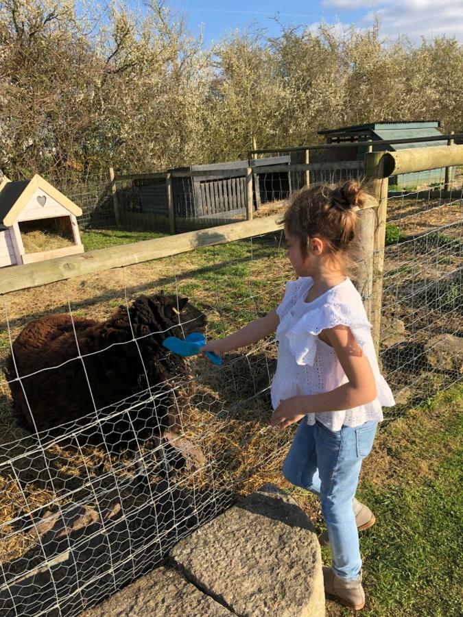 Willow Court Farm The Lodge & Petting Farm, 8 Mins From Legoland & Windsor, 15 Mins From Lapland Uk Esterno foto