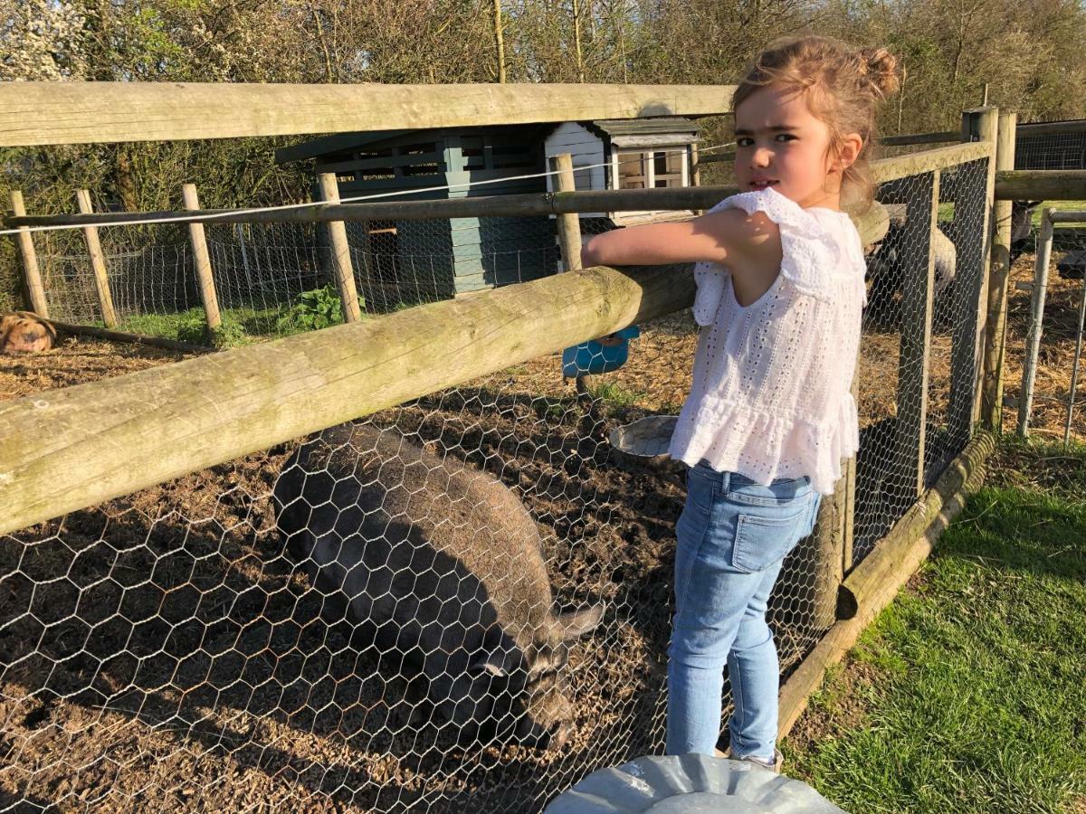 Willow Court Farm The Lodge & Petting Farm, 8 Mins From Legoland & Windsor, 15 Mins From Lapland Uk Esterno foto